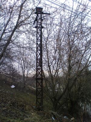 Прикрепленное изображение: DSC00086.JPG